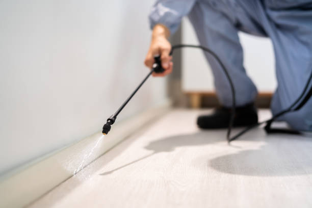 Licensed Rodent Control service in Canal Winchester, OH - Nex Pest Control