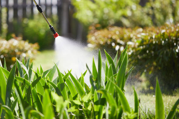 24/7 Emergency Rodent Control experts in Canal Winchester, OH