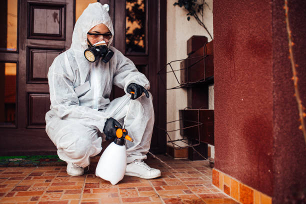 Reliable Rodent Control contractor in Canal Winchester, OH by Nex Pest Control