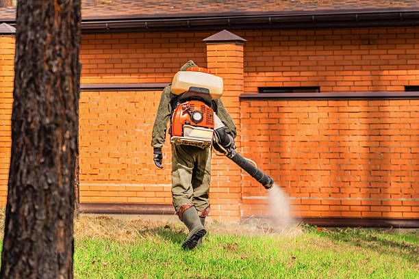 Trusted Termite Control service in Canal Winchester, OH - Nex Pest Control